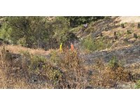 Gazipaşa’da avokado bahçesi alevlere teslim oldu