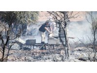 Antalya’da çalılık alanda çıkan yangın kovanları küle çevirdi