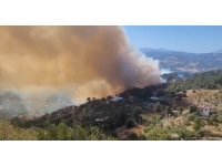 Kahramanmaraş’taki orman yangını evlere sıçradı