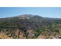 Kahramanmaraş’ta yanan 15 hektar alan dron ile görüntülendi