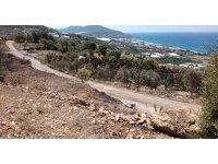 Alanya’da avokado bahçesinde çıkan yangında 9 dönüm alan zarar gördü