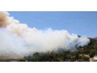 Hatay’da orman yangını; havadan ve karadan müdahale başladı