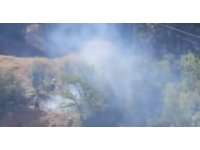 Feke’deki orman yangını erken müdahaleyle büyümeden söndürüldü