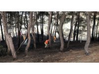 Yangın söndürüldü, vatandaş piknikçilere tepki gösterdi