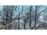 Orman yangınına jandarma desteği