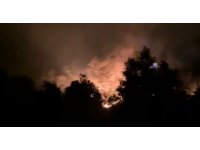 Gazipaşa’daki orman yangınında 3 dönüm alan zarar gördü