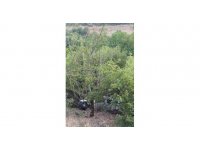 Kozan’da trafik kazası: 1 ölü