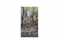 Kaş’taki yangını söndürüp Kemer’de görevlerine devam ettiler