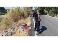 Bataklığa saplanan köpeği itfaiye kurtardı