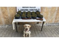 Mersin’de operasyon: 24 kilo skunk ele geçirildi