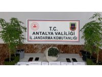 Antalya’da zehir tacirlerine jandarmadan darbe