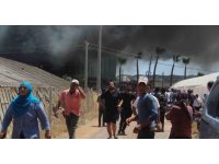 Antalya’da kesme çiçek işleme tesisi alev alev yandı