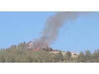 Osmaniye’de çıkan orman yangını kısa sürede söndürüldü