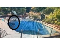 Havuzda elektrik akımına kapıldı, sağ kurtuldu