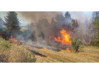 Burdur’da çıkan orman yangınında 3 dekarlık alan yandı