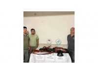 Antalya’da kaçak yaban keçi avına 300 bin TL tazminat