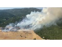 Antalya Kaş’ta orman yangını başladı