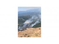 Antalya Kaş’ta orman yangını kontrol altına alındı