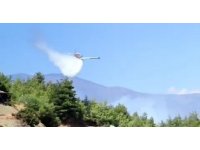 Hatay’da ikinci orman yangını