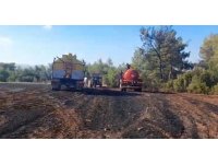 Ormanlık alanda başlayan yangın tarım arazisine sıçradı