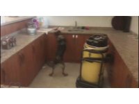 Kargo kutularından uyuşturucu çıktı