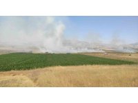 Burdur’da çıkan yangında 100 dönümlük tarım arazisi kül oldu