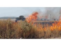 Burdur’da 100 dönümün üzerinde biçilmiş tarım arazisi küle döndü