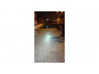 Yakalanan yılan doğal ortamına bırakıldı