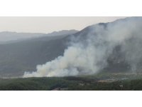 Manavgat’ta orman yangını