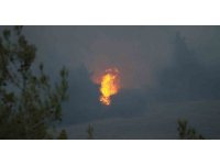 Adana’daki orman yangını devam ediyor