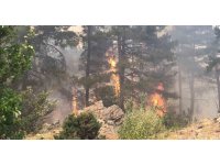 Antalya’da orman yangını devam ediyor