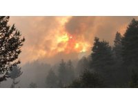 Bakan Yumaklı: "Akseki yangını kontrol altında"