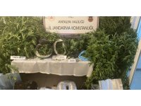 Jandarmadan uyuşturucu tacirlerine geçit yok
