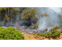 Kahramanmaraş’taki orman yangını iki noktada devam ediyor