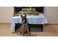 Osmaniye’de uyuşturucu ile mücadele: 47 gözaltı