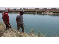 Sulama kanalına düşen 15 yaşındaki Yaprak kayboldu