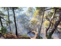 Feke’deki orman yangını kontrol altına alındı