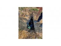 Kanalizasyona düşen keçi kurtarıldı