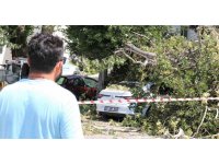 Asırlık çınar ağacının kırılan dalı 5 araçta hasara yol açtı