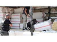 Saman balyalarının arasından 279 kilo uyuşturucu çıktı