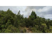 Isparta’da bahçe temizliği orman yangınına neden oldu