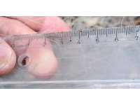 Isparta Eğirdir Gölü’nde kaçak balık avlayan 2 şahsa idari ceza uygulandı