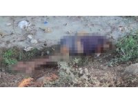 Dere kenarında kadın cesedi bulundu