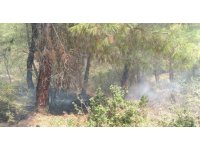 Kozan’daki orman yangını kontrol altına alındı