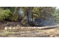 Yol kenarında başlayan yangında arı kovanları hızlı müdahaleyle kurtuldu