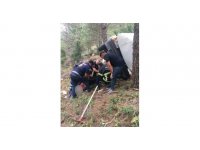 Otomobil uçuruma yuvarlandı: 3 yaralı