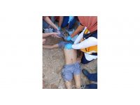 Serinlemek için sulama kanalına girdi, boğulmaktan vatandaşlar kurtardı