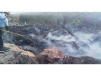 Feke’de ağıl yandı 60 keçi telef oldu