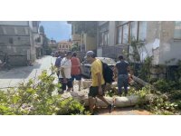 Gövdesi çürüyen asırlık çınar ağacı sokak üzerine devrildi