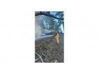 Feke yangını kontrol altında